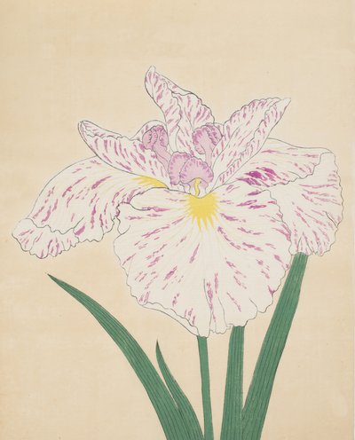 Uji-No-Kawagiri, No. 55, 1890 by Japanese School